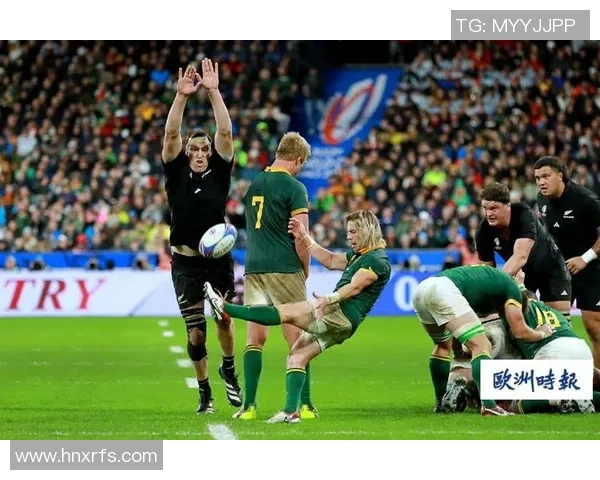 南非与新西兰橄榄球对决精彩回顾与战术分析 南非与新西兰橄榄球对决精彩回顾与战术分析