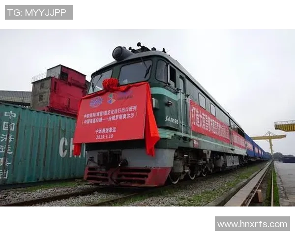 挪威20与洪都20的全面对比分析与市场前景探讨 挪威20与洪都20的全面对比分析与市场前景探讨