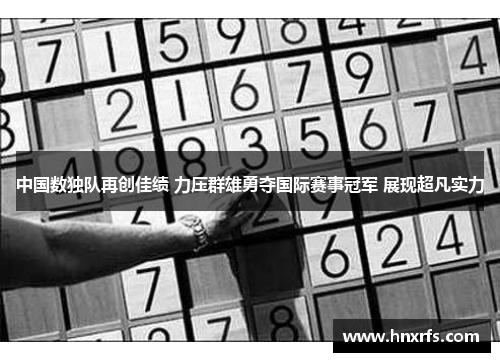 中国数独队再创佳绩 力压群雄勇夺国际赛事冠军 展现超凡实力