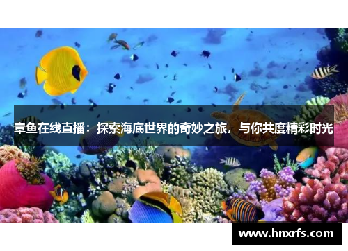 章鱼在线直播：探索海底世界的奇妙之旅，与你共度精彩时光